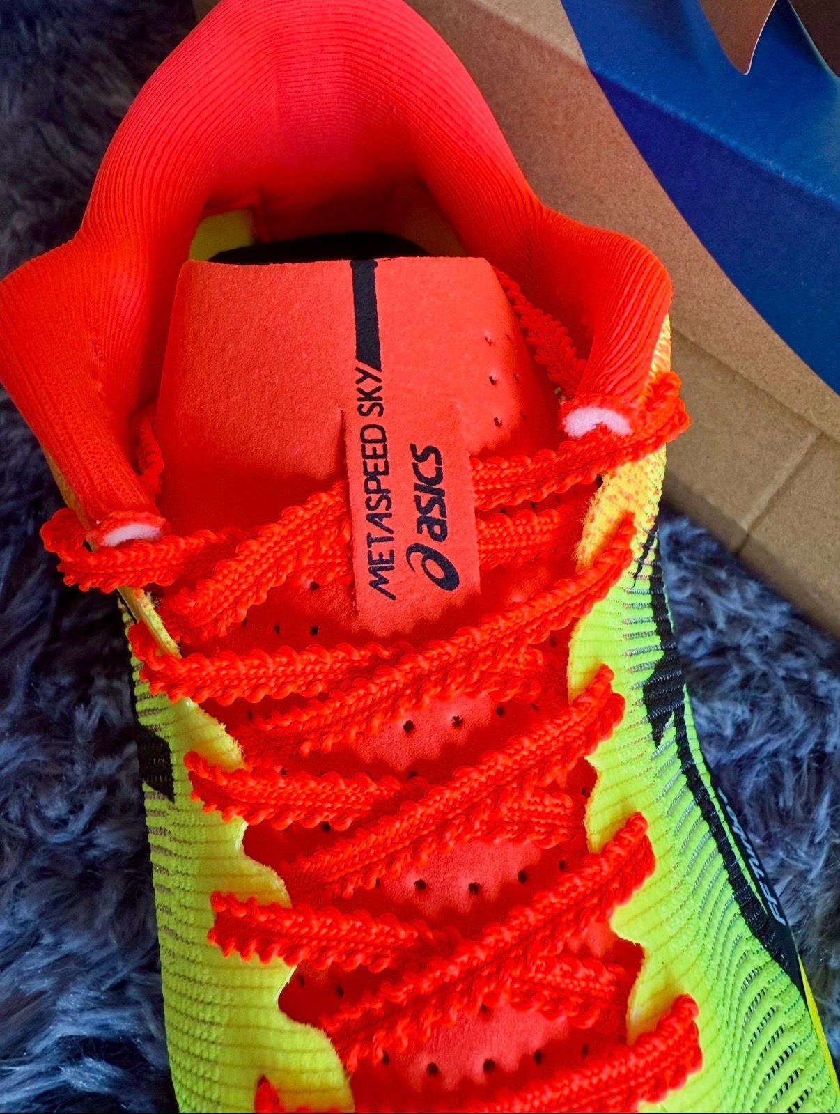 ASICS Metaspeed Sky Paris 5
